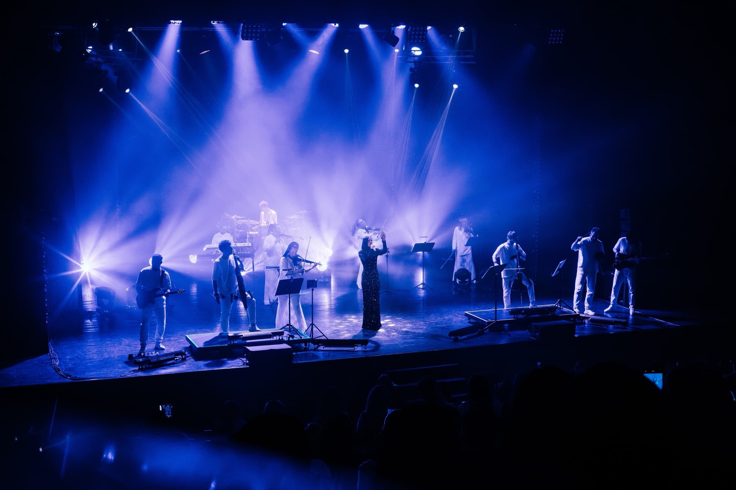 Sinteza Orchestra. Караоке с оркестром