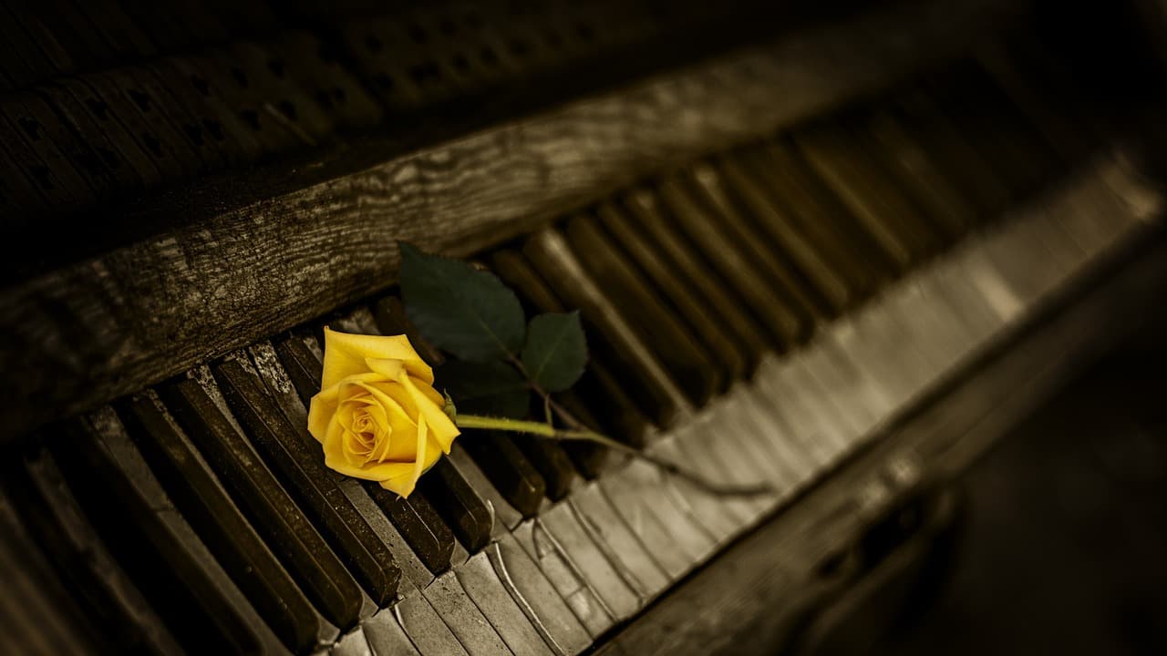 Джан Сарач. Pianissimo