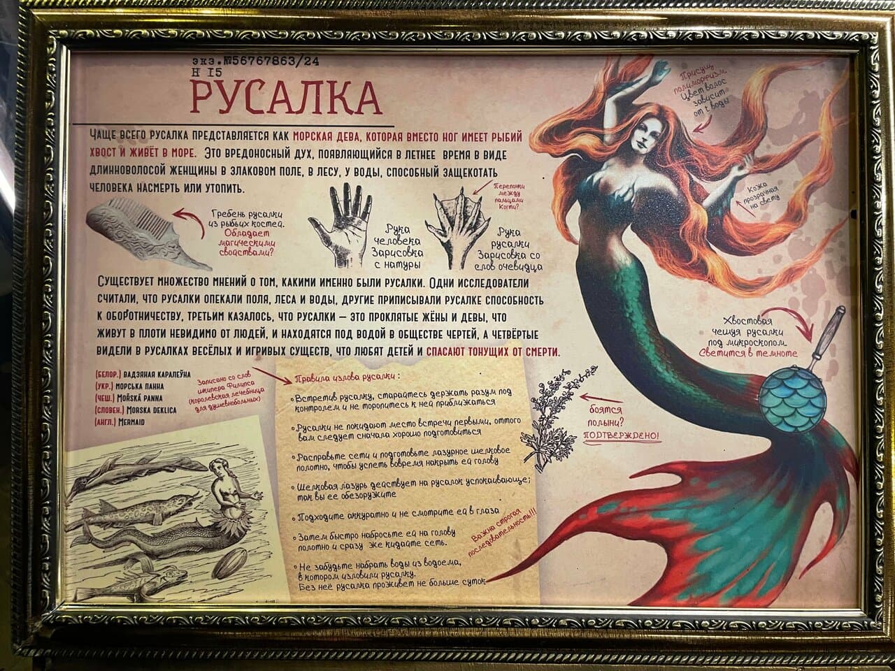 Бестиарий — фото площадки