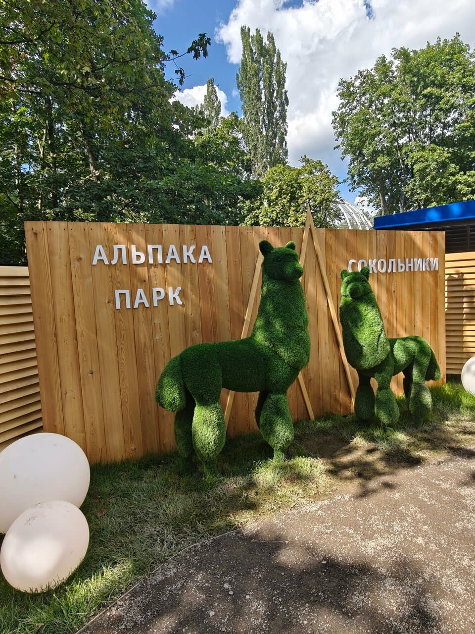Альпака Парк — фото площадки