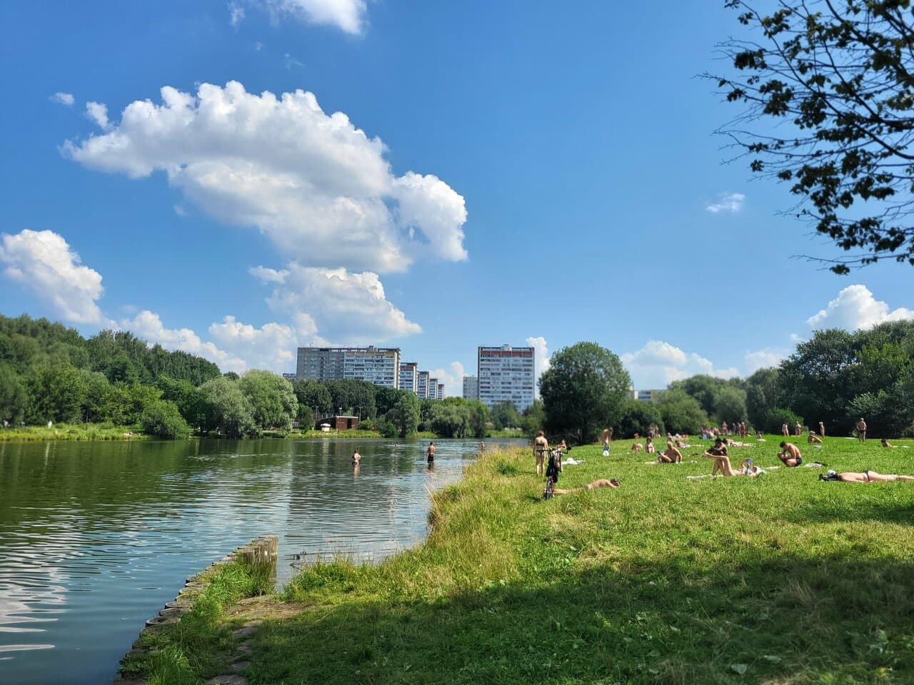 ЛисаПарк — фото площадки